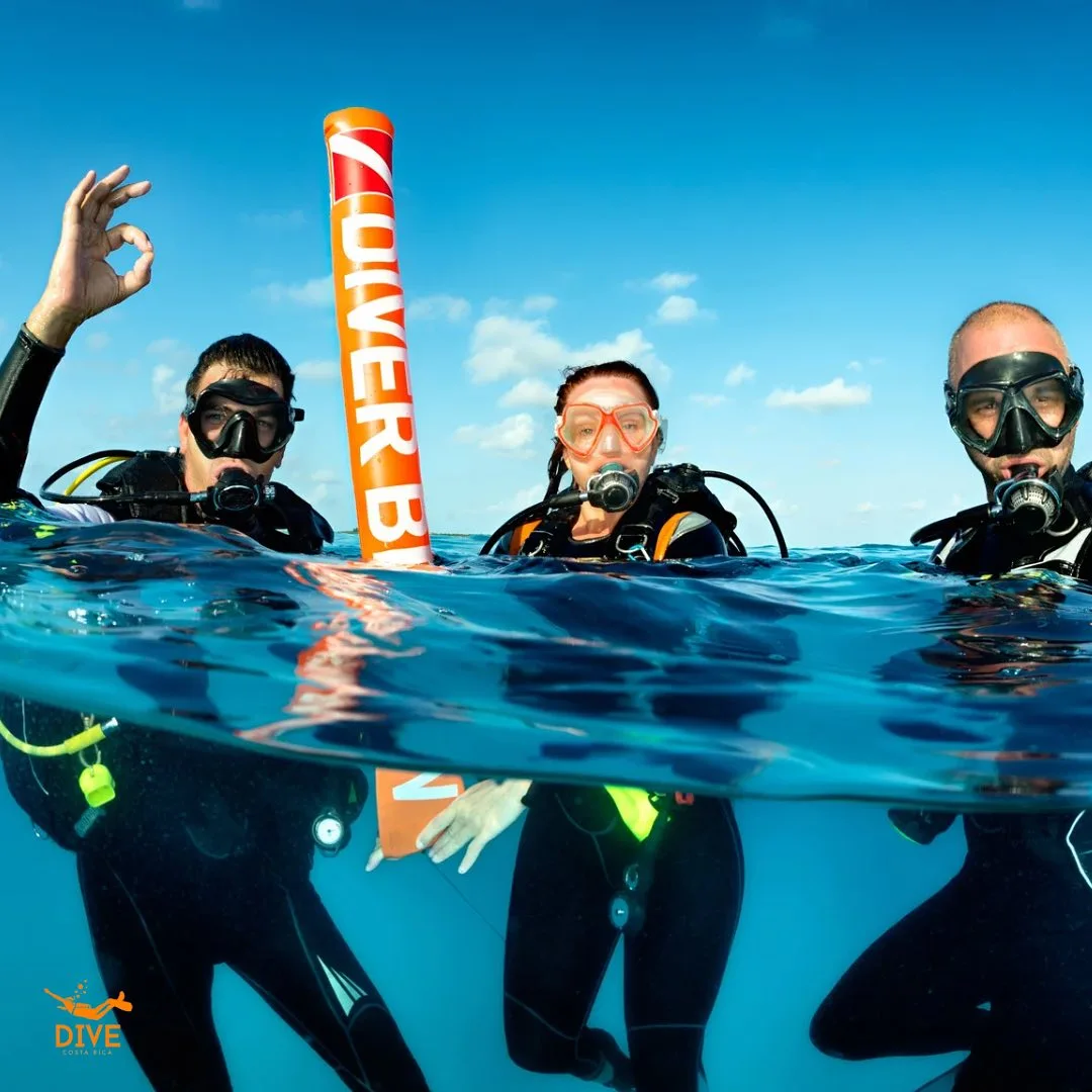 Dive-CostaRica-1